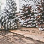 Tendance décoration pour Noël 2022 : le naturel et le durable